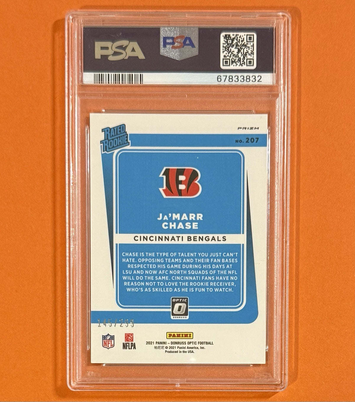 P133-C Back